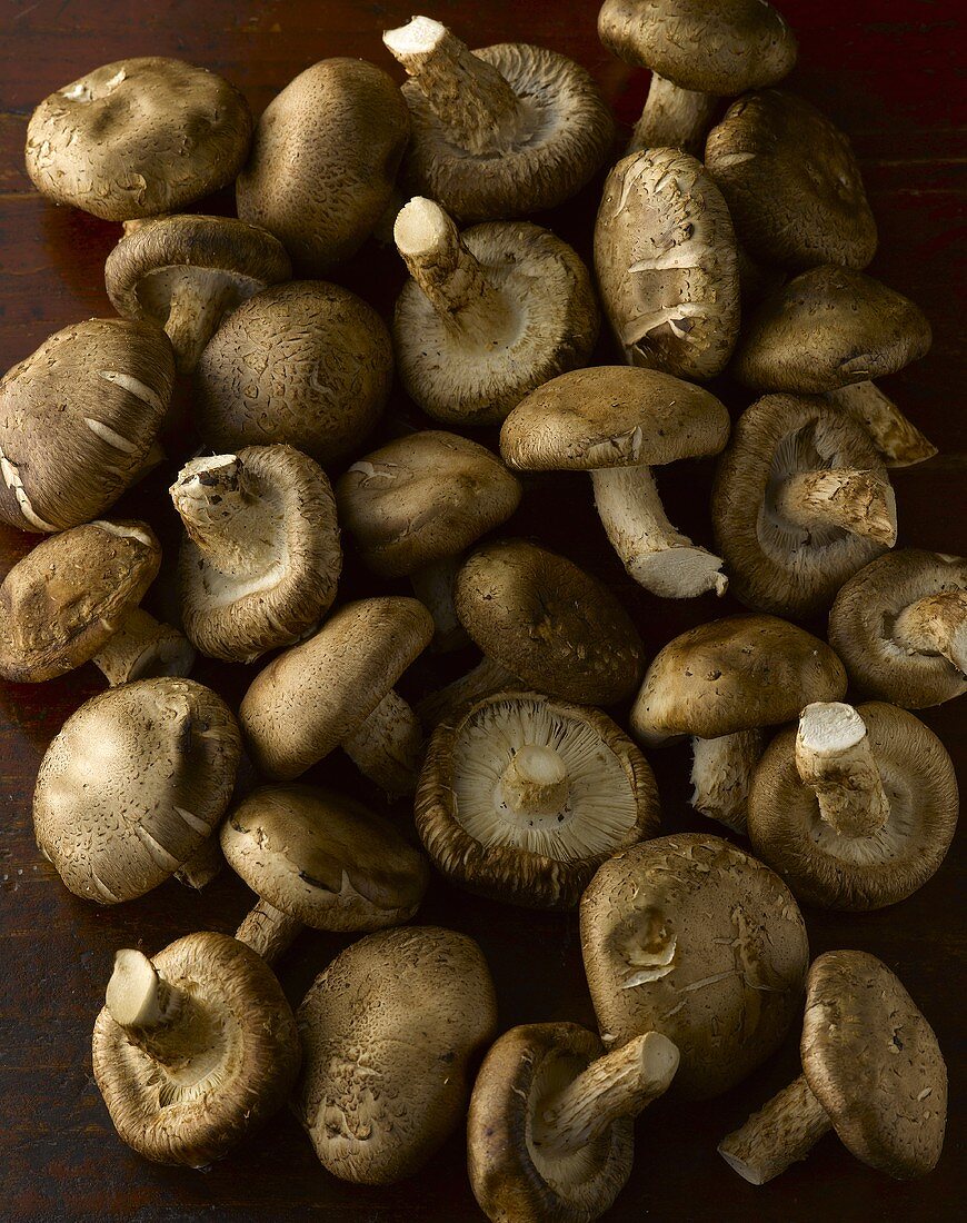 Many shiitake mushrooms