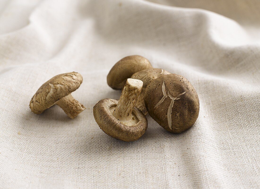 Five shiitake mushrooms