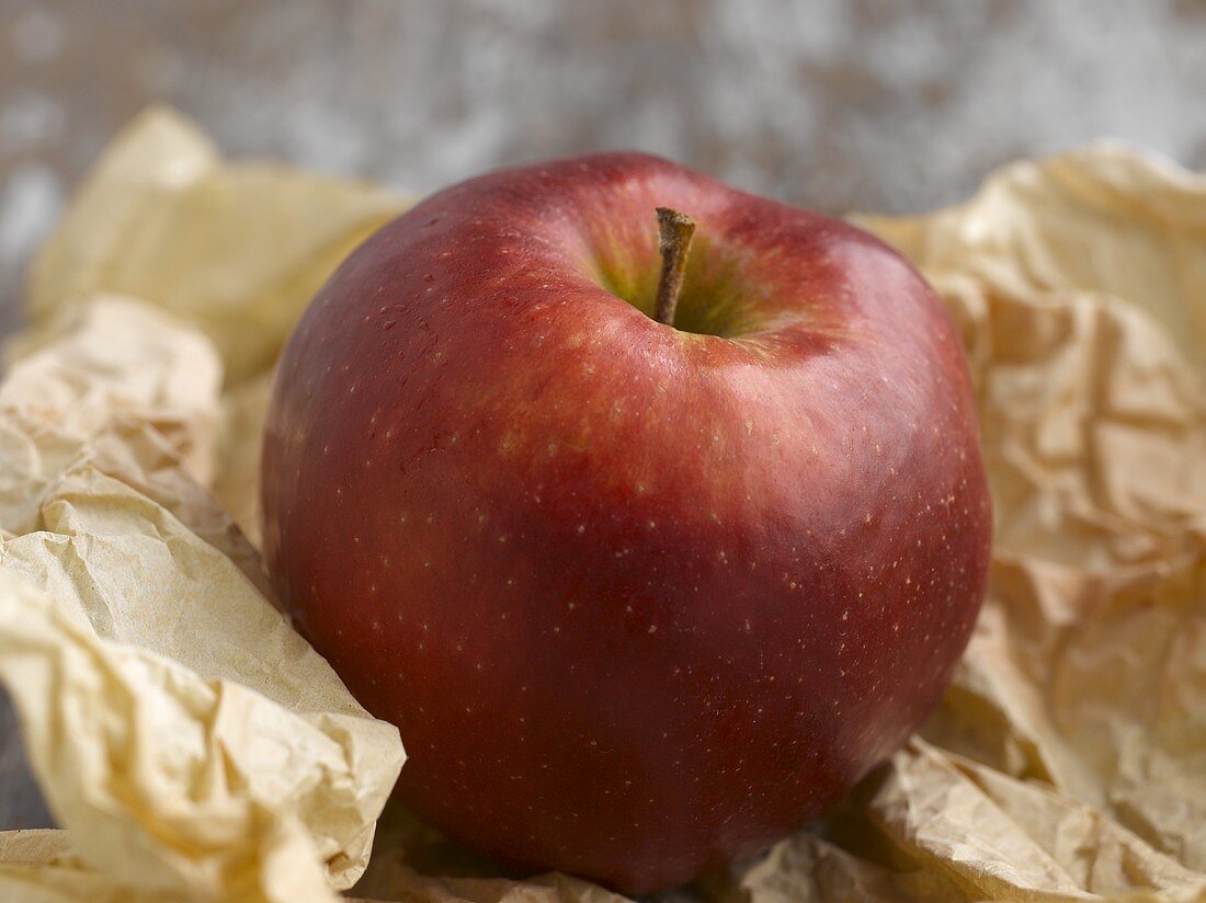 Ein roter Apfel (Sorte: Jonagold) auf Papier