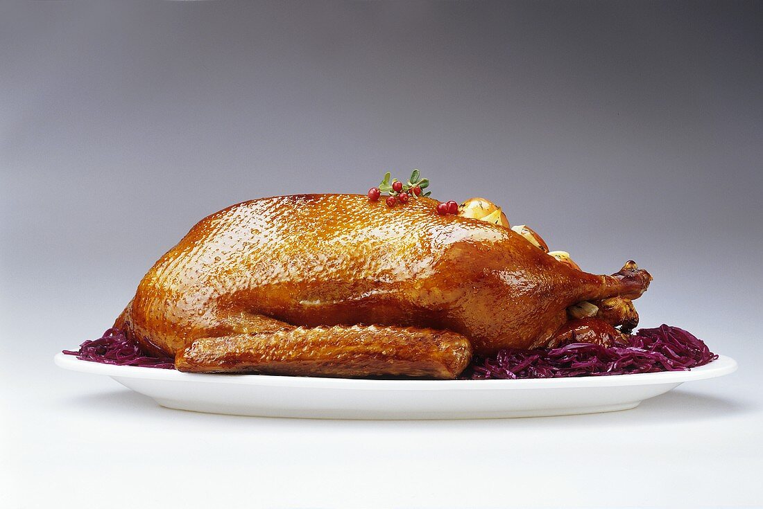 Roast goose with red cabbage and cranberries