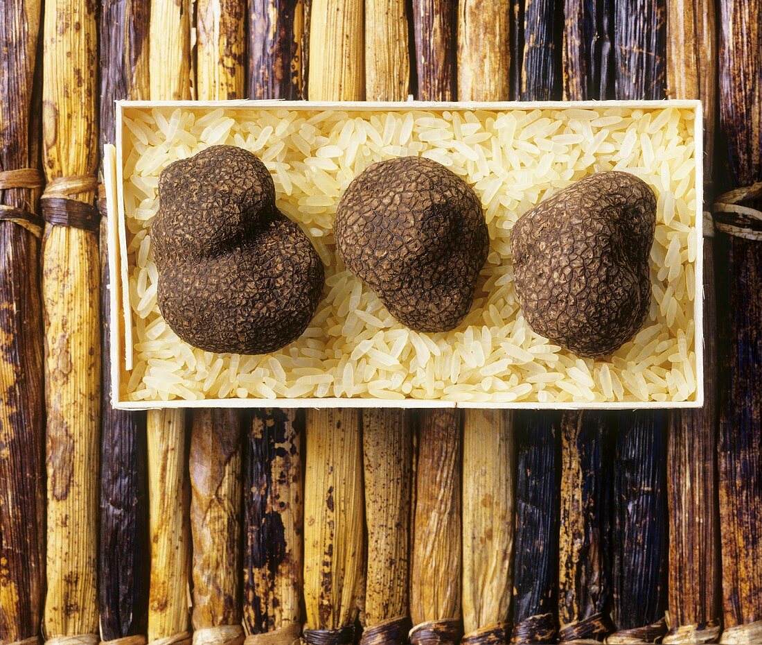Black truffles on rice