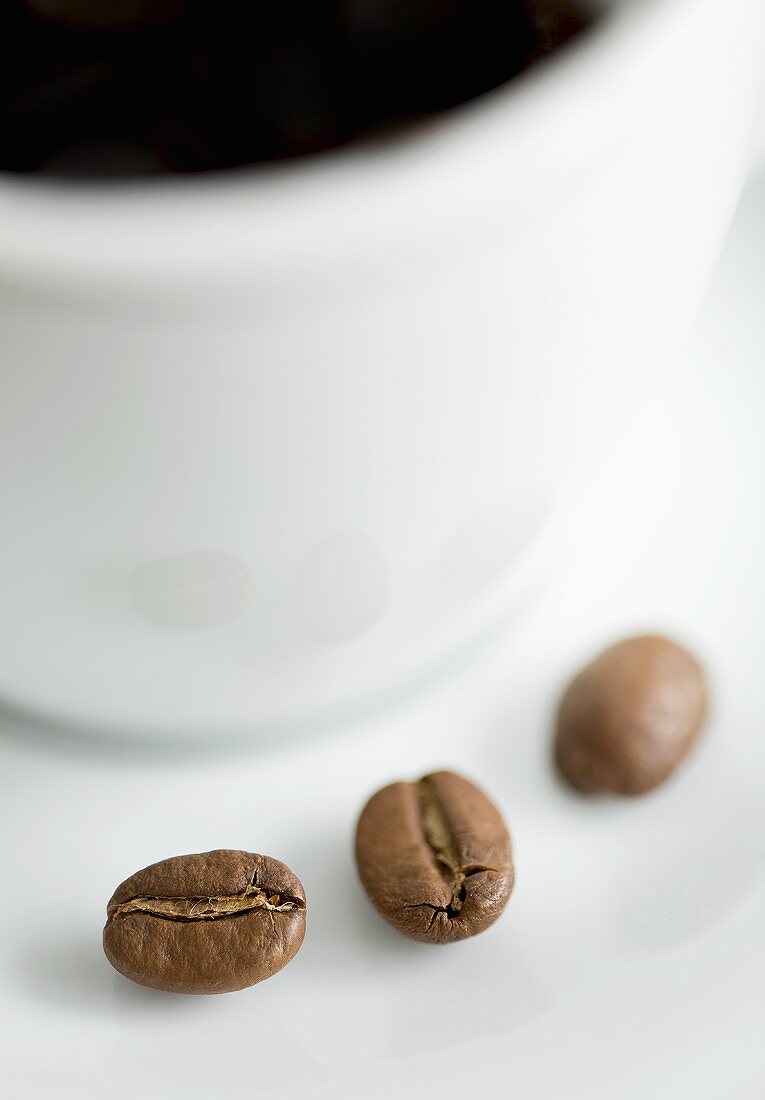 Three coffee beans with a cup of coffee