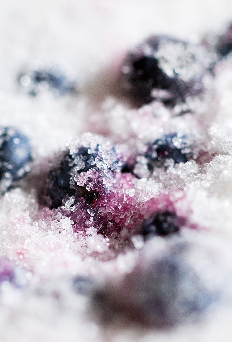 Blueberries in sugar