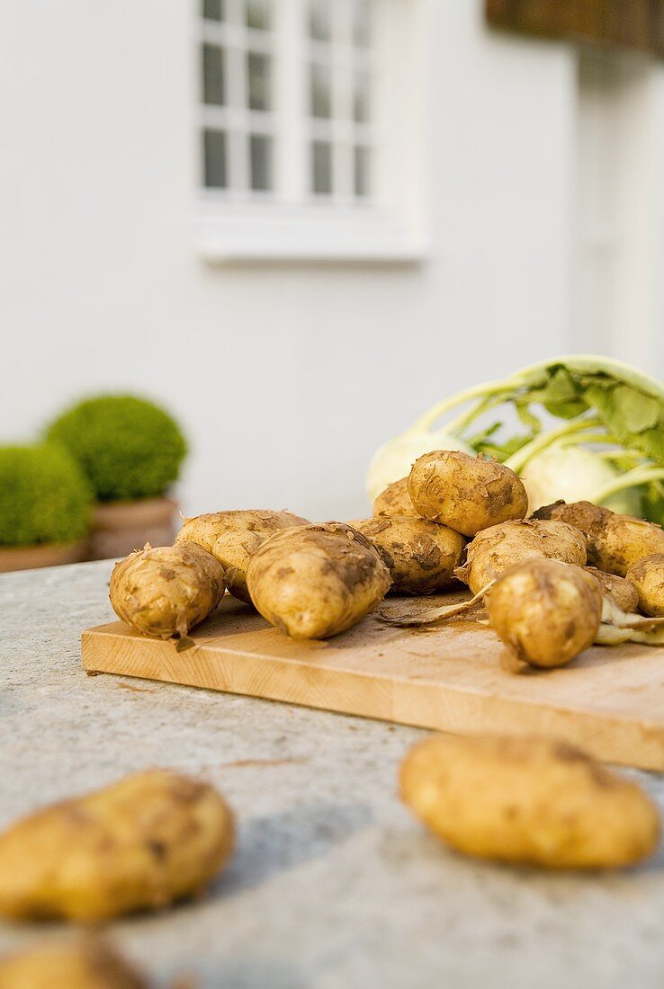 Junge Kartoffeln und Kohlrabi auf einem Gartentisch