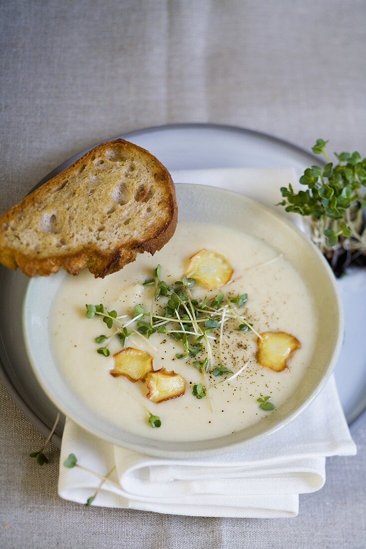 Cream of parsnip soup with parsnip crisps and cress