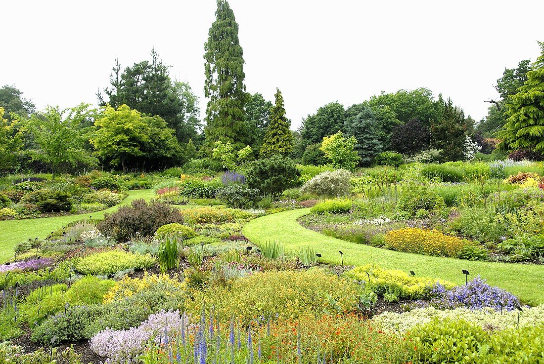 Summery garden