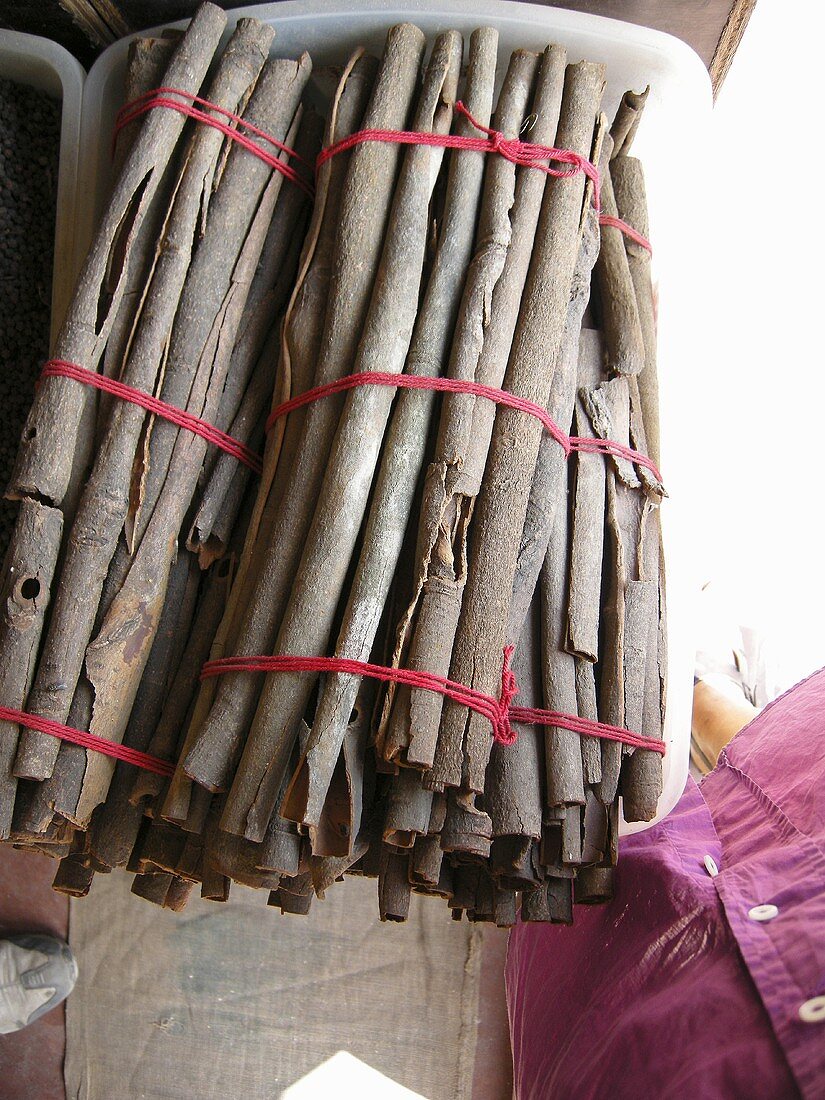 Bundles of cinnamon bark