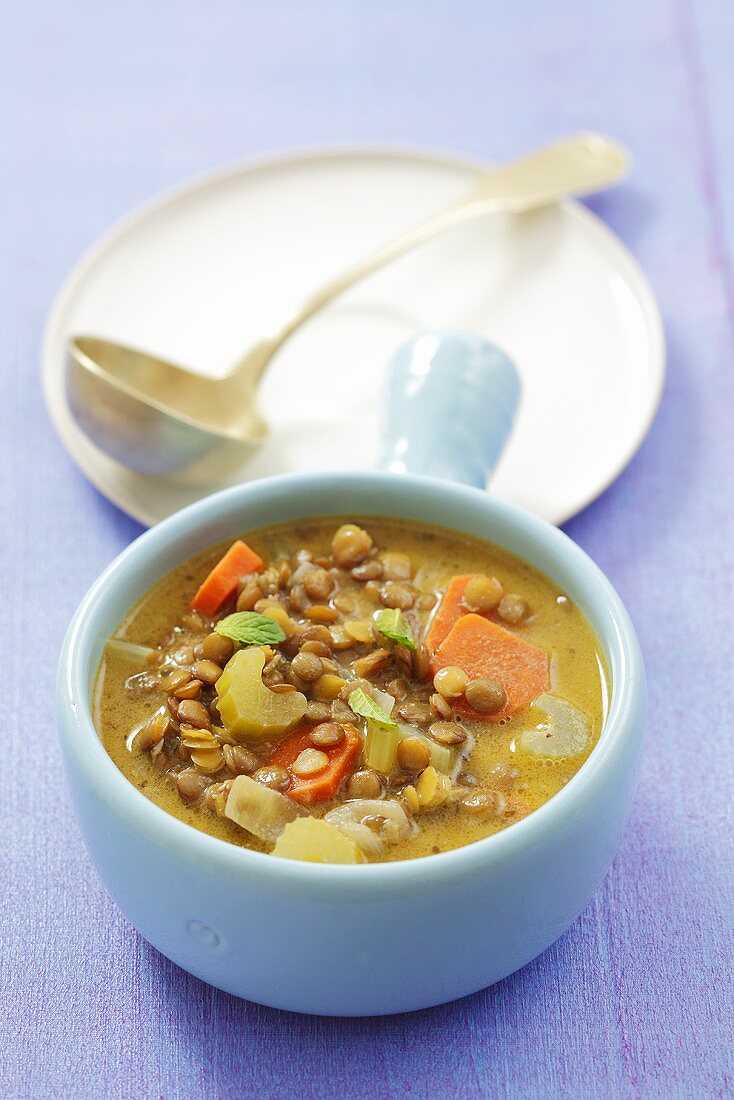 Lentil soup with celery and carrots