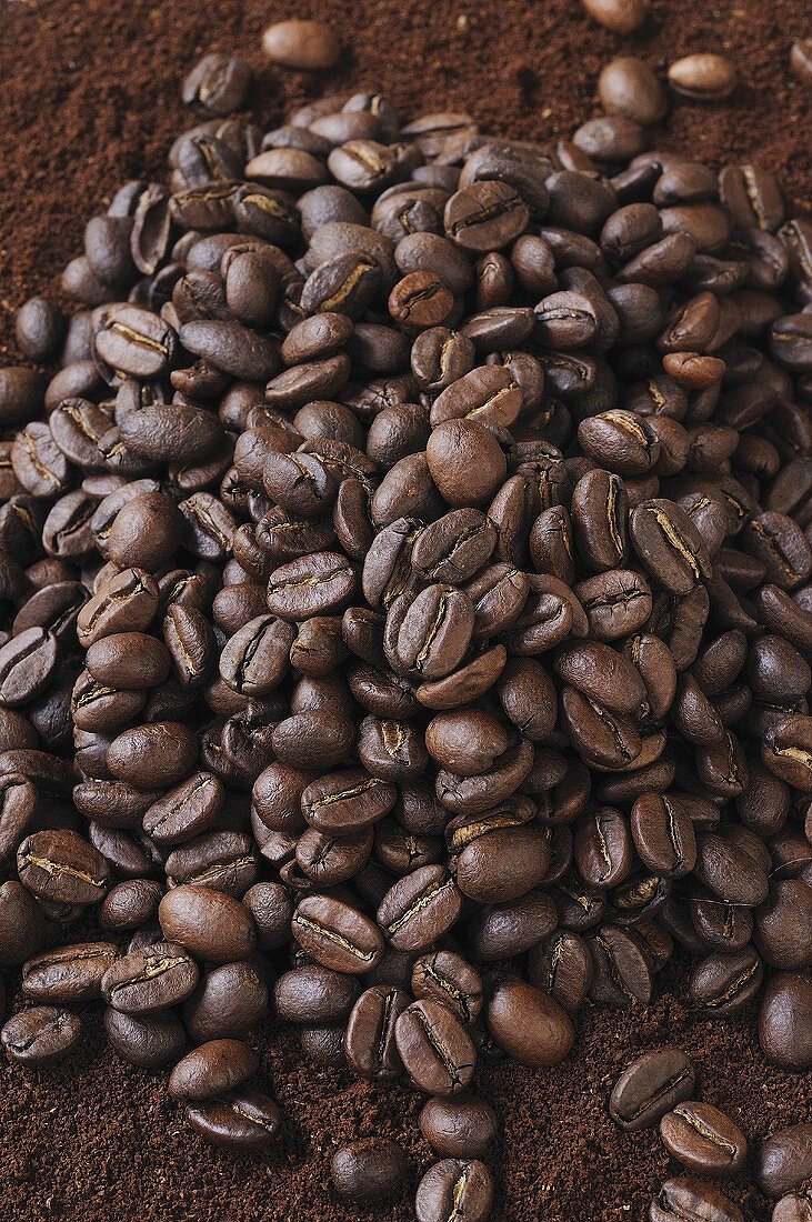 Viele Kaffeebohnen auf Kaffeepulver