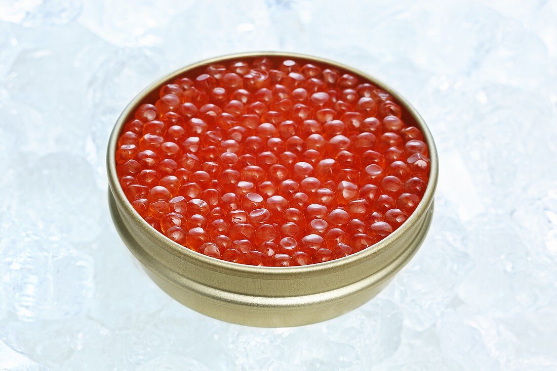 Trout caviar in tin