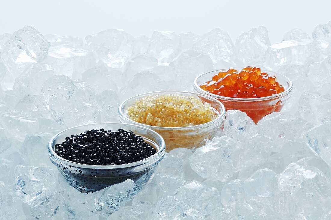 Seehasenrogen, Hechtkaviar und Lachskaviar in Glasschalen