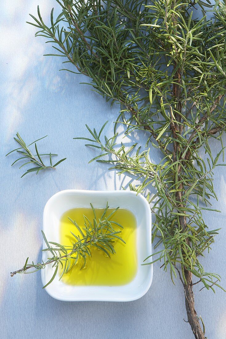 Rosemary branch and small dish of oil