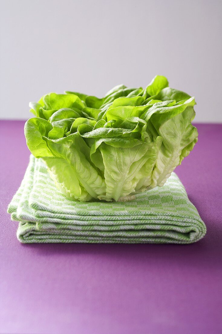 A lettuce