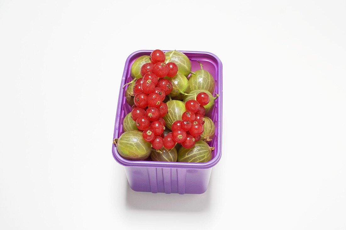 Gooseberries and redcurrants in a plastic punnet
