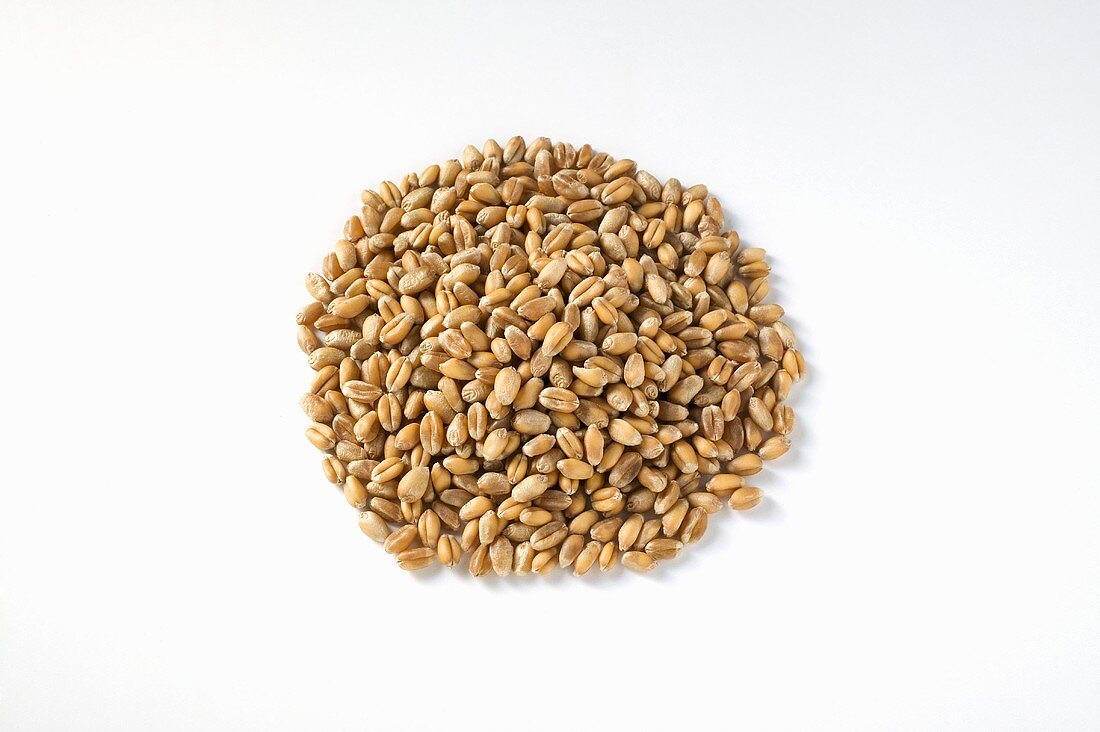 Grains of wheat