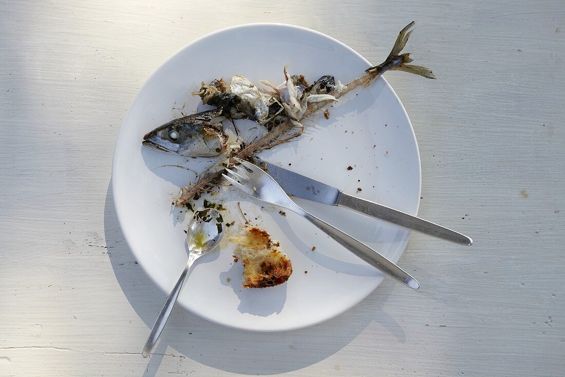 Plate with the remains of a mackerel