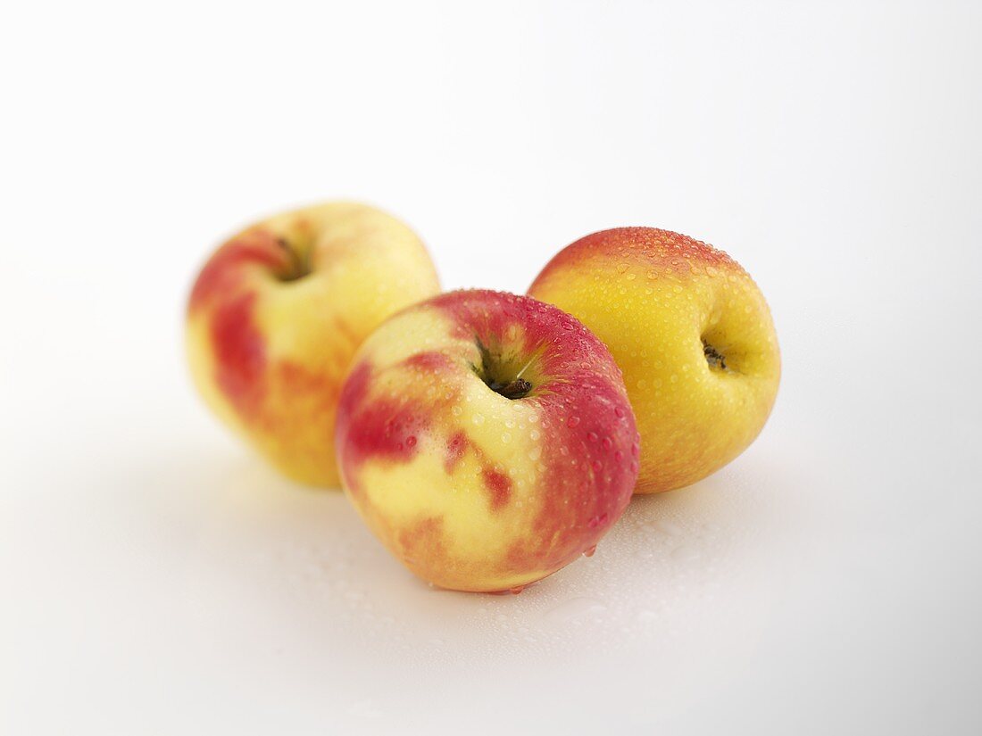 Three apples (variety 'Honey Crunch') with drops of water