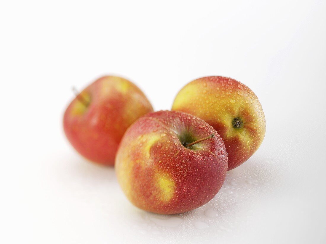 Three apples (variety 'Red Boskop') with drops of water