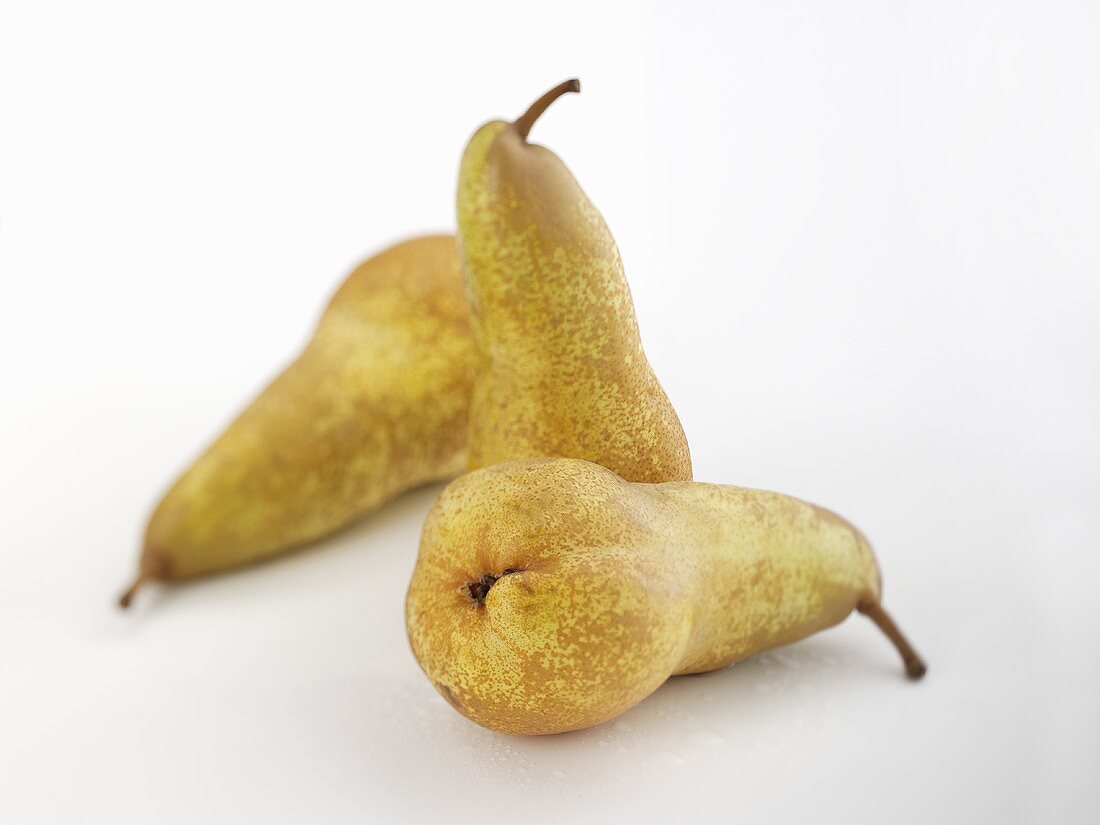 Three pears (autumn variety)
