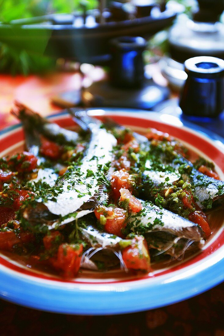 Sardinen mit Tomatenstücken und Kräutern