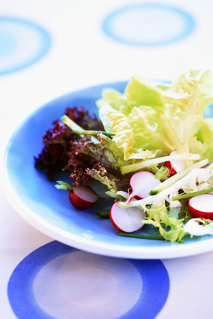 Spring salad with radishes