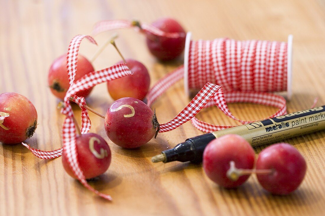 Ornamental apples with checked ribbon and gold pen