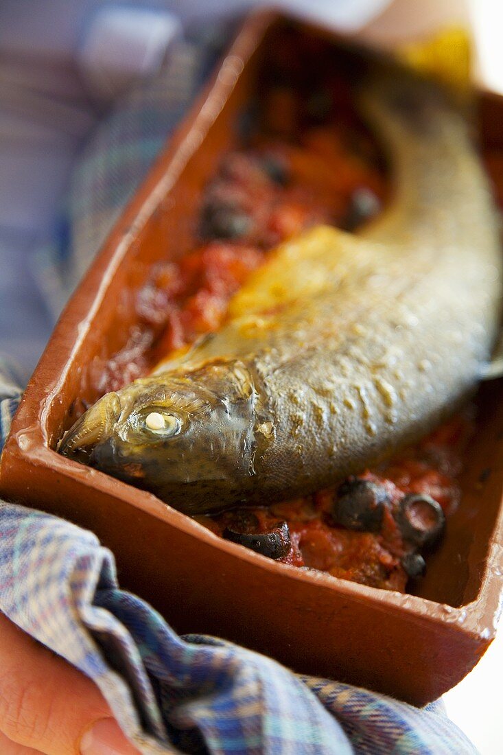 Riba na keremida (Trout with tomato sauce, Bulgaria)