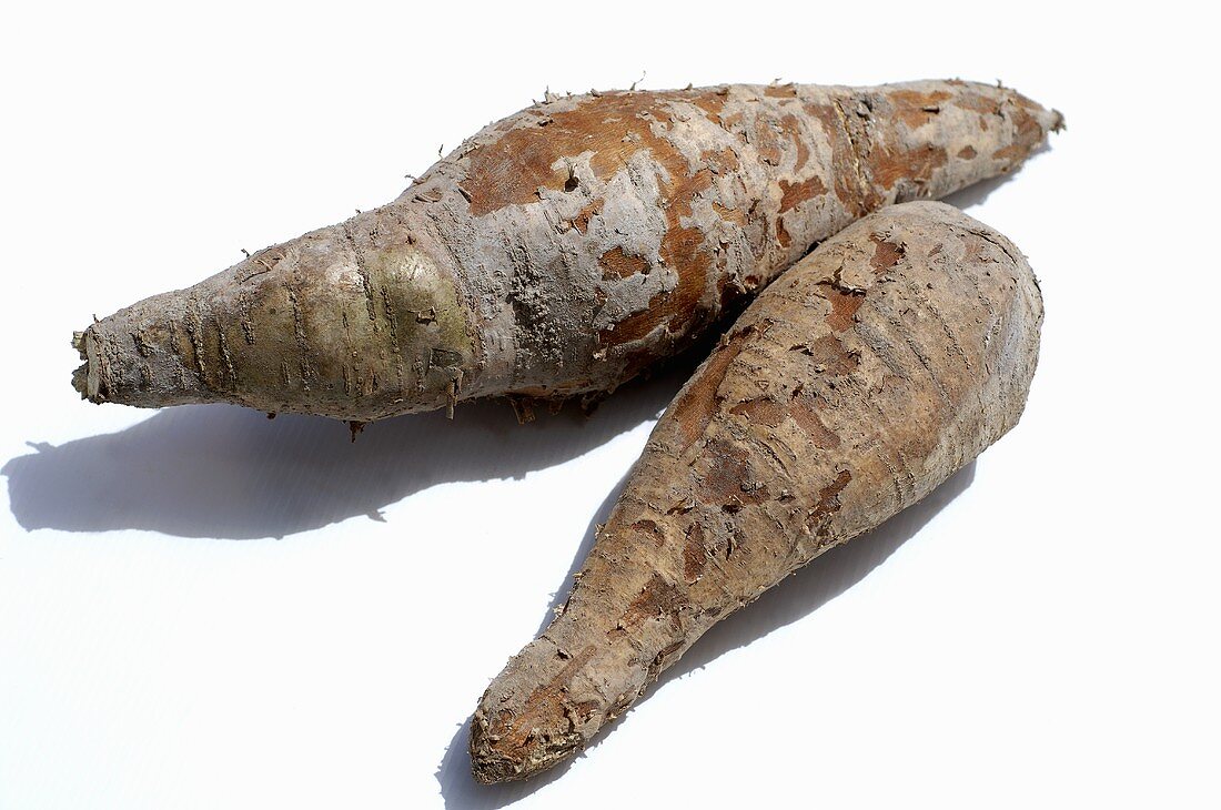 Two cassava roots