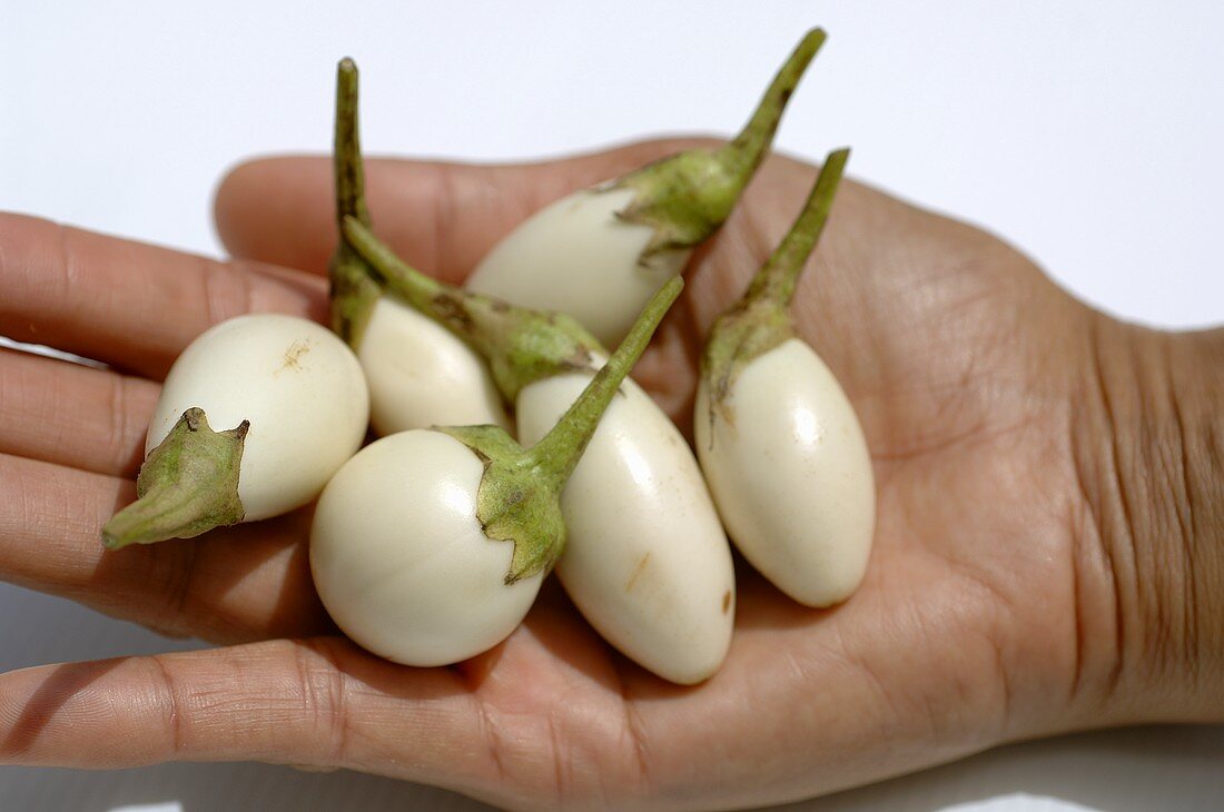 Hand holding white Thai aubergines