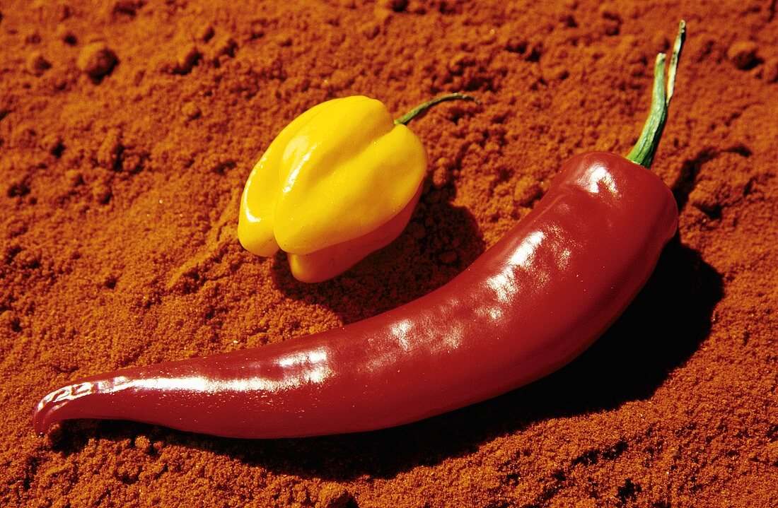 Red and yellow chillies on chilli powder