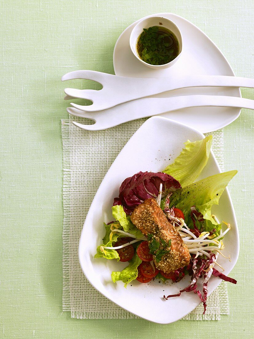 Salad with fried sesame salmon