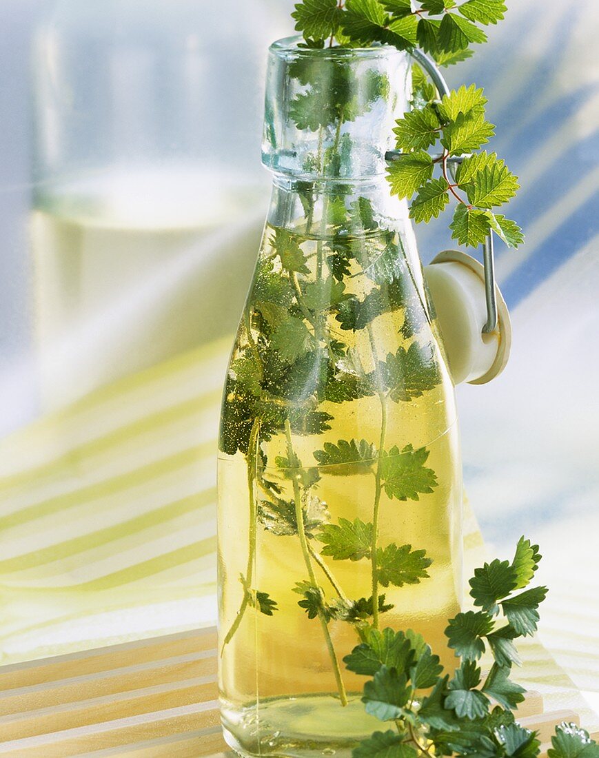 Home-made salad burnet vinegar