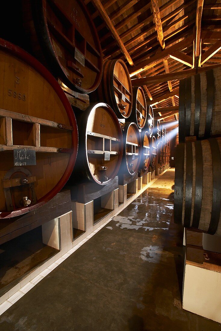 Barrique cellar, Château de Beaucastel, Châteauneuf-du-Pape