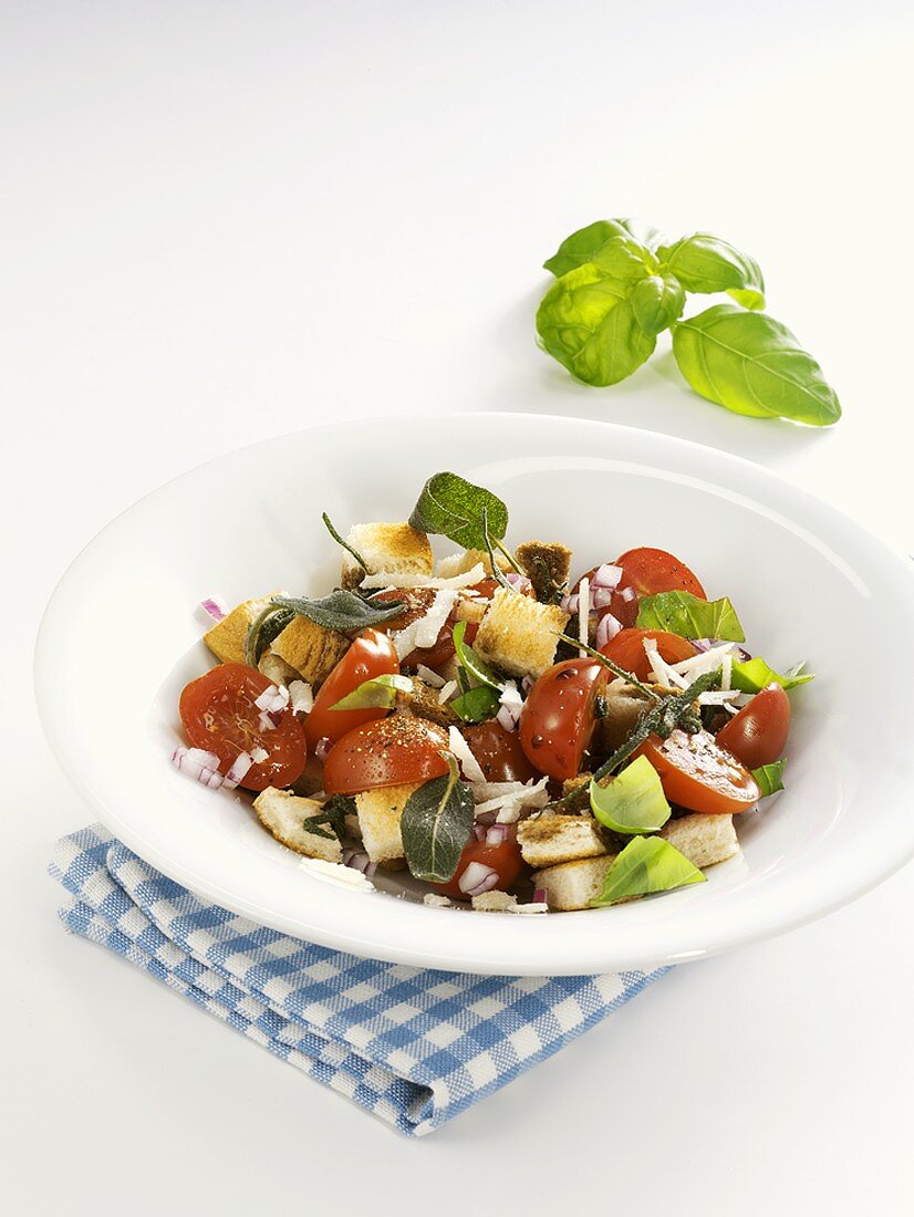 Tomato and bread salad with herbs