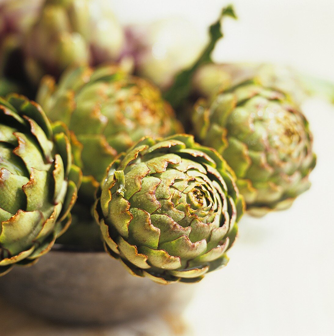 Fresh artichokes