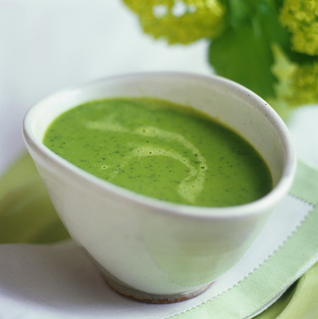 Green vegetable cream soup