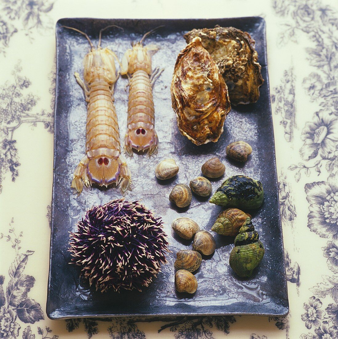 Seafood: shellfish, sea urchin, mantis shrimps, oysters