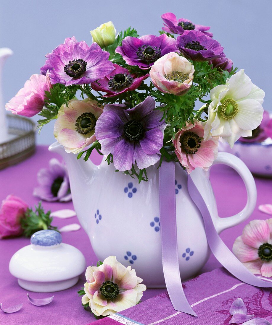 Posy of anemones in blue and white pot