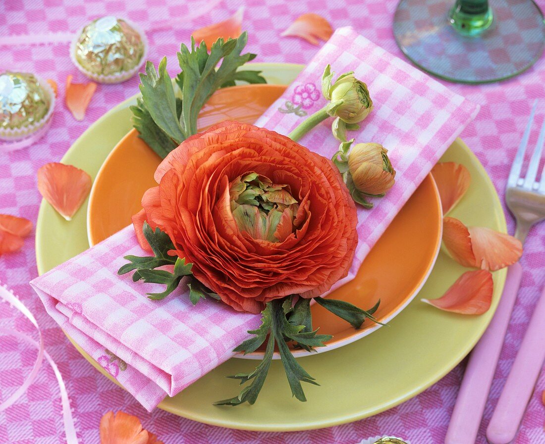 Orange ranunculus (plate decoration)