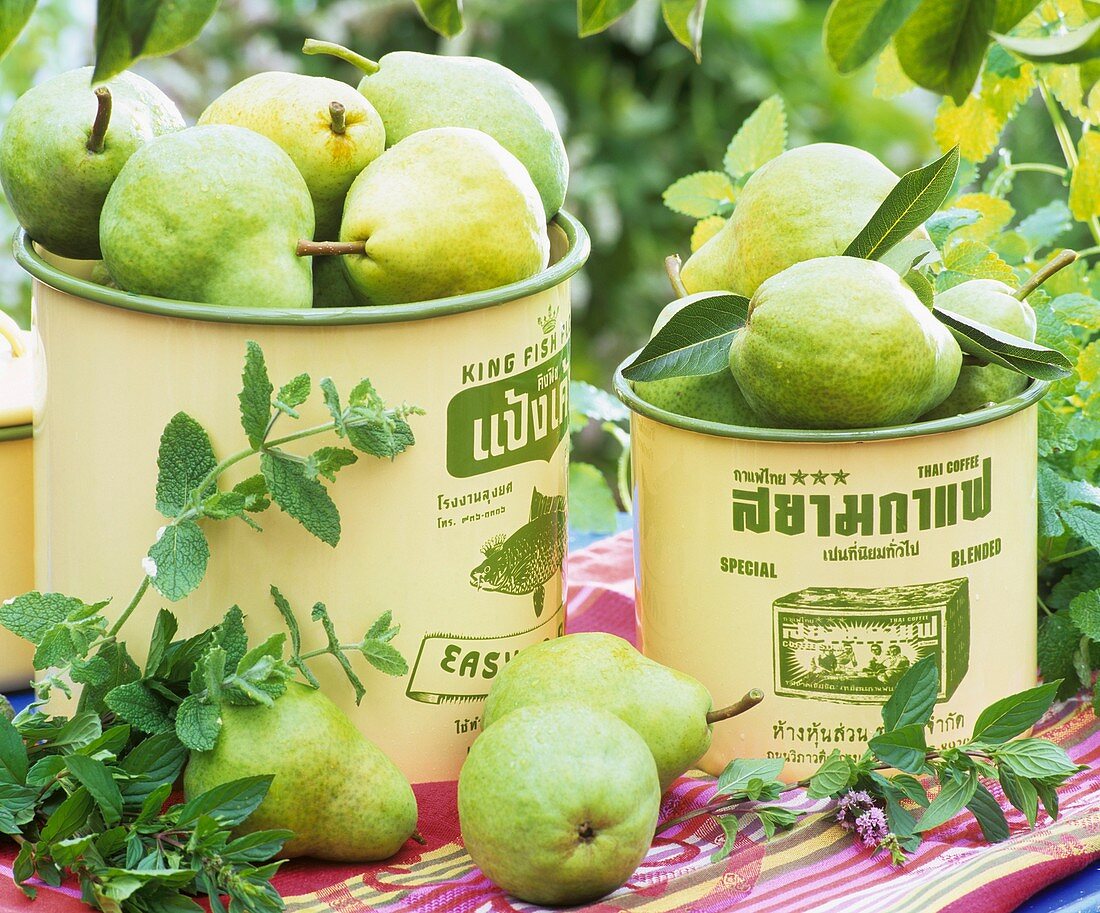Pears in tins and mint