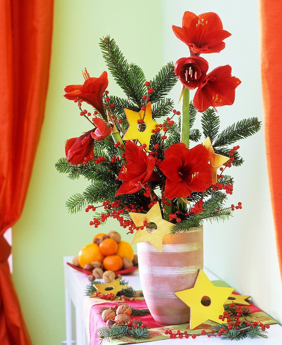 Arrangement of amaryllis, winterberries, fir branches in vase
