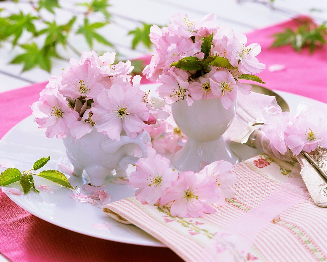 Blüten von der Zierkirsche in Tasse und Eierbecher