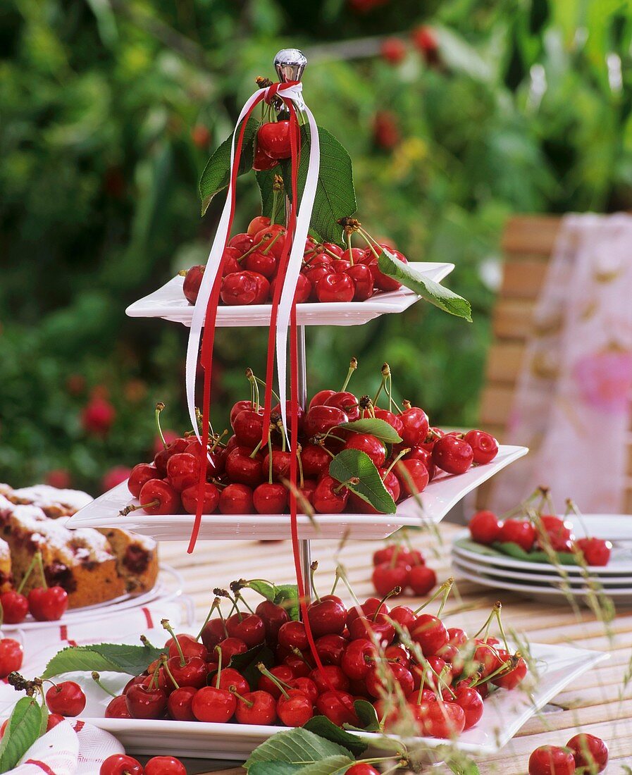 Fresh cherries on tiered stand on a garden table