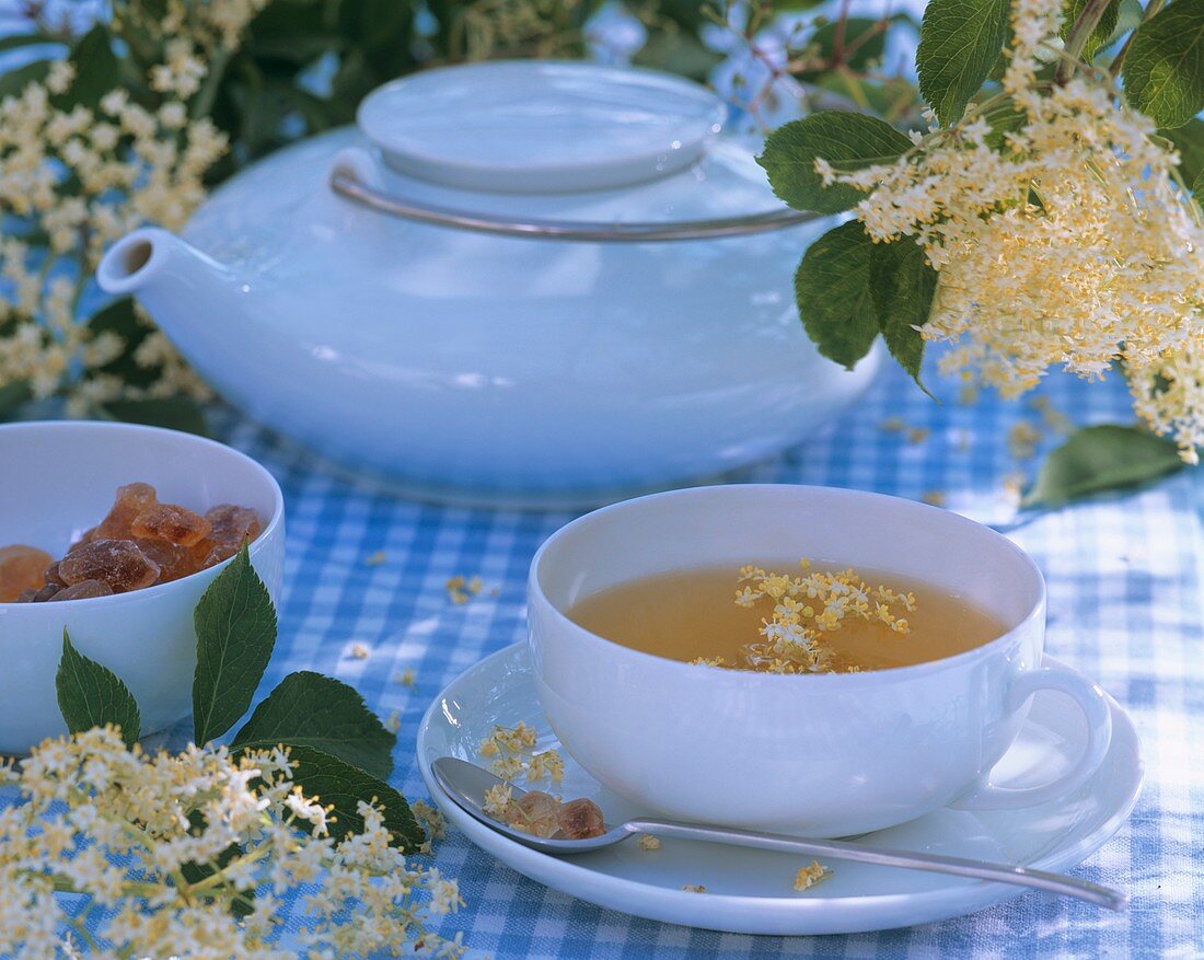 Elderflower tea with fresh elderflowers