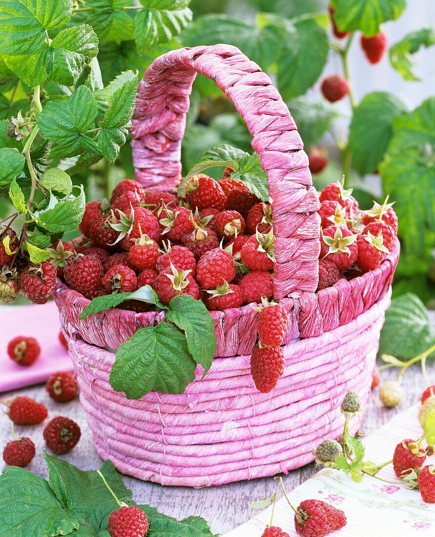 Raspberries in pink basket with handle