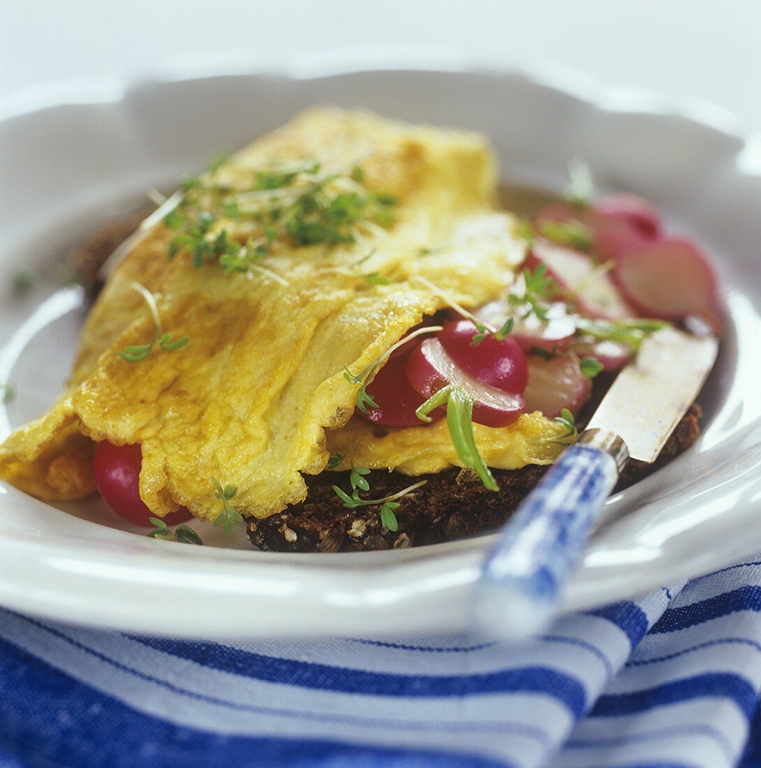 Wholemeal bread topped with omelette and radishes