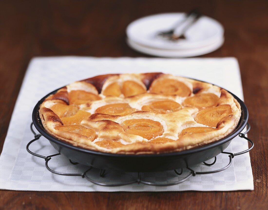 Apricot cheesecake