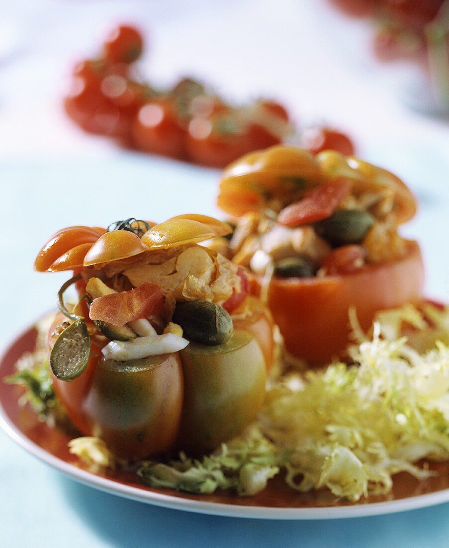 Tomaten mit Thunfisch gefüllt