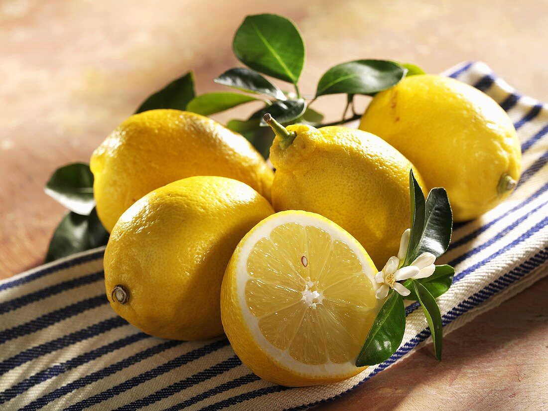 Stillleben mit Zitronen und Zitronenblüte