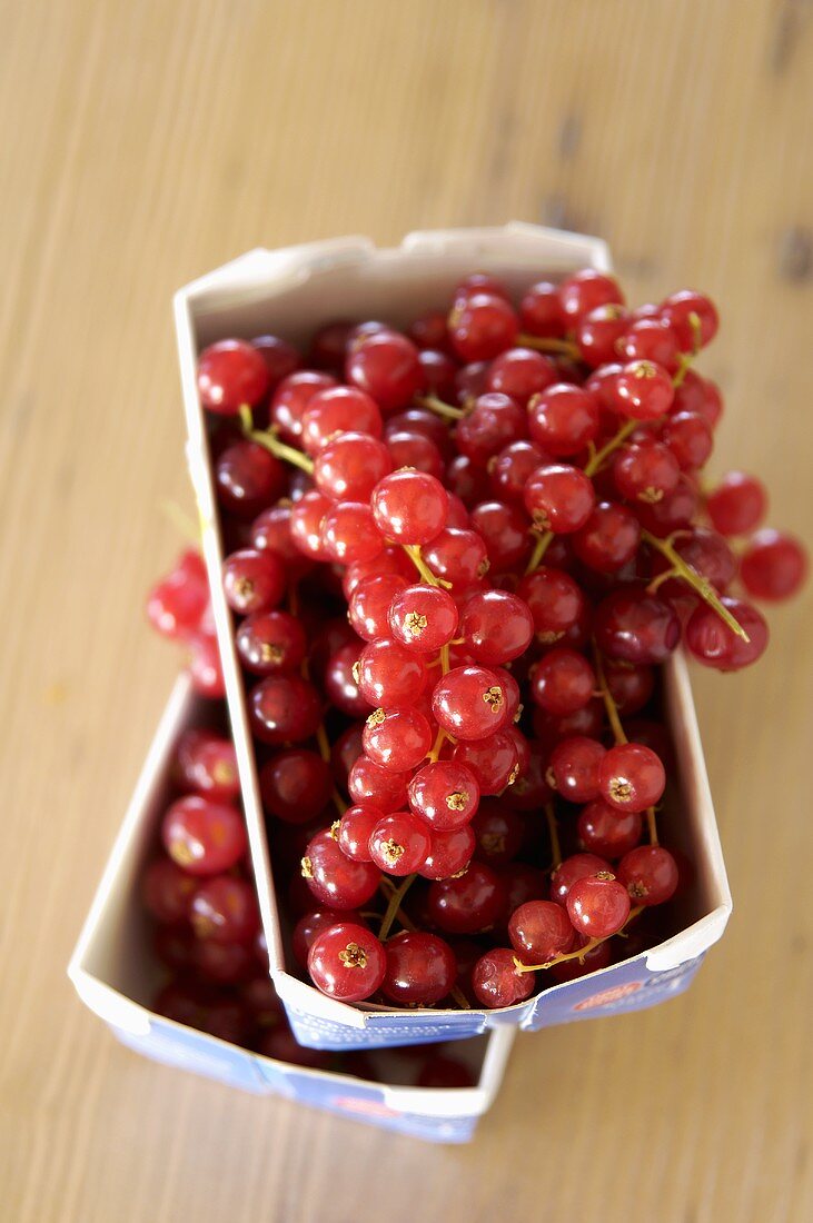 Redcurrants in two cardboard punnets